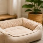 Beds & Comfort