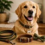 Dog Accessories