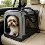 Pet Travel
